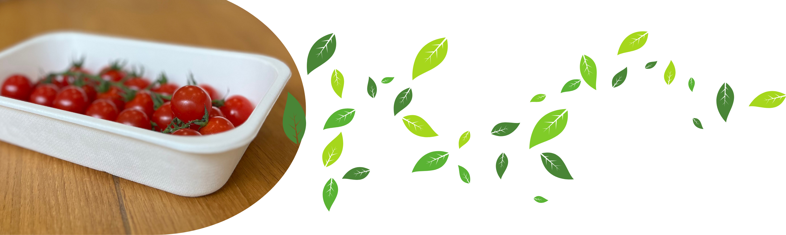 Barquette RESTOKOMPOST - LA PREMIÈRE BARQUETTE 100% COMPOSTABLE ET BIODÉGRADABLE - Cellulopack